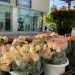... ricco di rose, margherite, tulipani e piantine di vario genere
